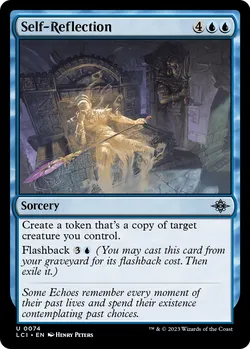 Self-Reflection