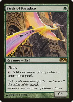 Birds of Paradise