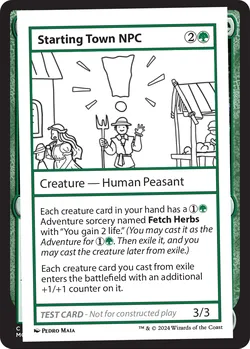 Starting Town NPC