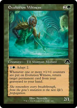 Evolution Witness