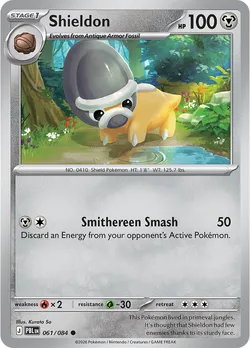 Shieldon