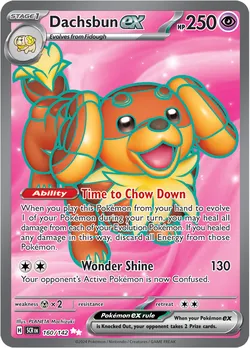 Dachsbun ex