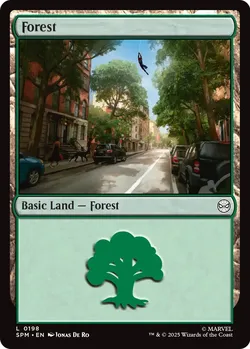Forest