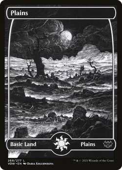 Plains