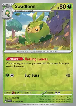 Swadloon