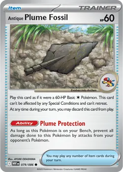 Antique Plume Fossil