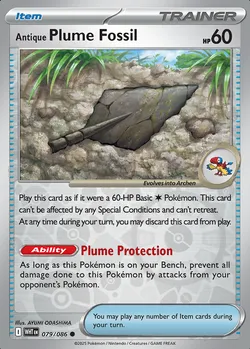 Antique Plume Fossil