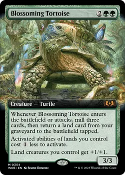 Blossoming Tortoise