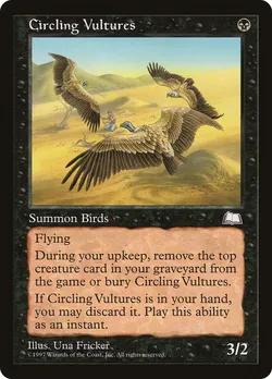 Circling Vultures